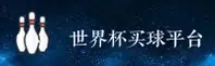 使用指南与常见问题