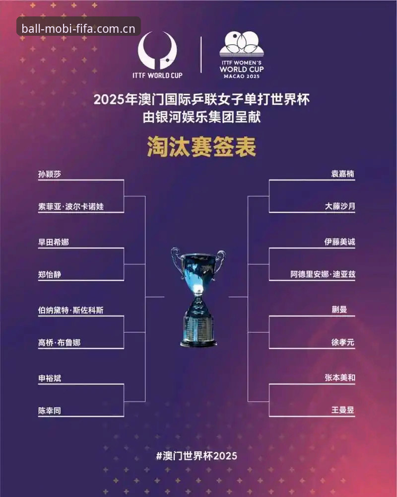 官方网站购票 vs 第三方渠道：2026世界杯门票购买全攻略对比